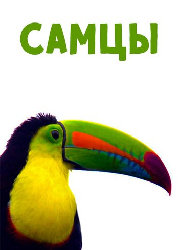 Сериал Самцы 2019