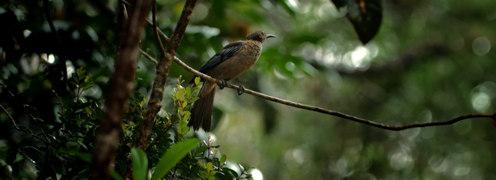 Постер фильма Островной рай – Новая Каледония
