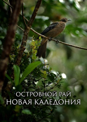 Фильм Островной рай – Новая Каледония 2020
