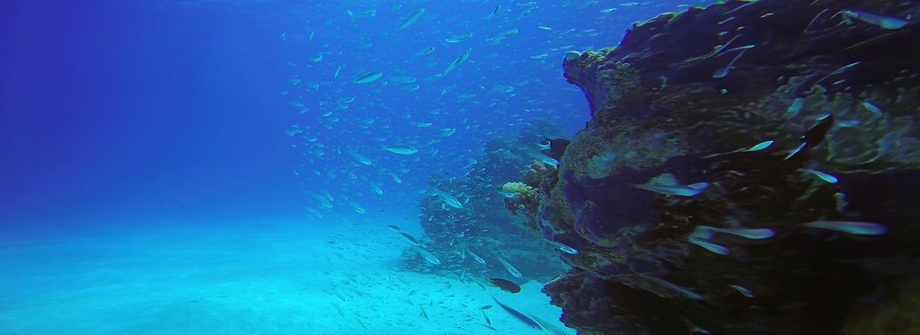 Постер сериала Дикий Китай