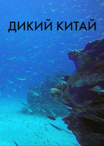 Сериал Дикий Китай null
