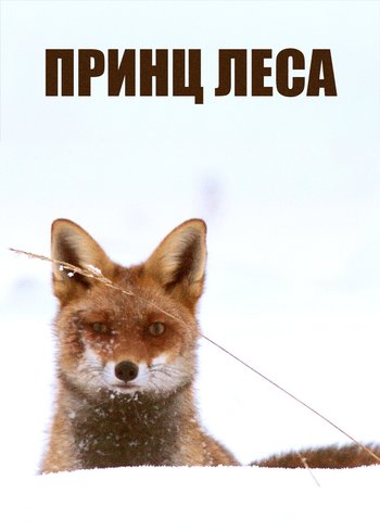 Movie The Prince of the Forest 2020