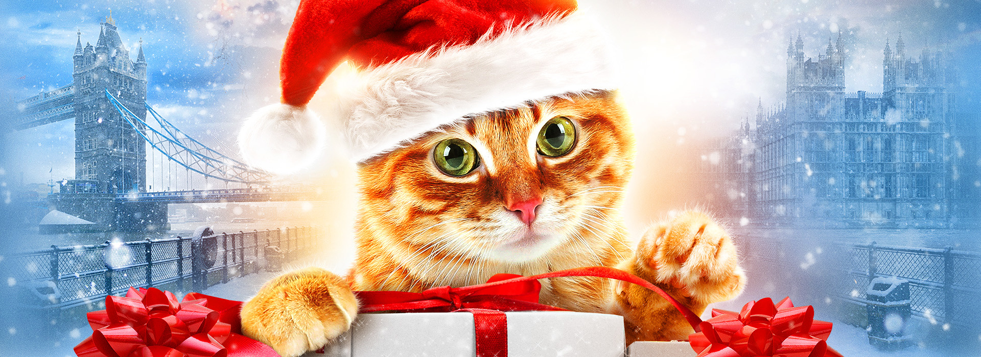 Постер фильма Рождество кота Боба