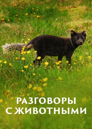 Сериал Разговоры с животными 2016