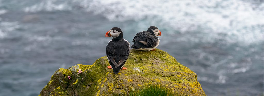 Постер фильма Исландия - новорожденный остров