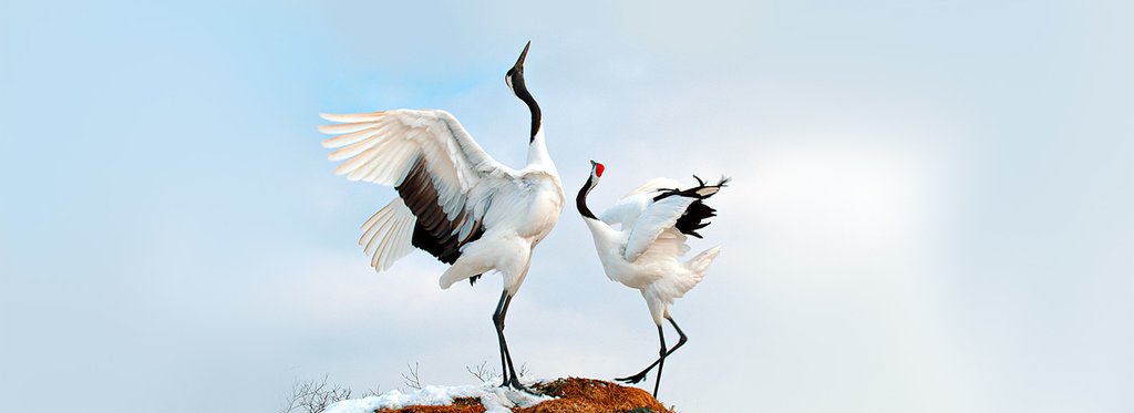 Постер сериала Основной инстинкт. Продолжение рода