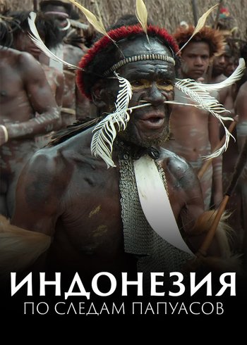 Фильм Индонезия. По следам папуасов 2018