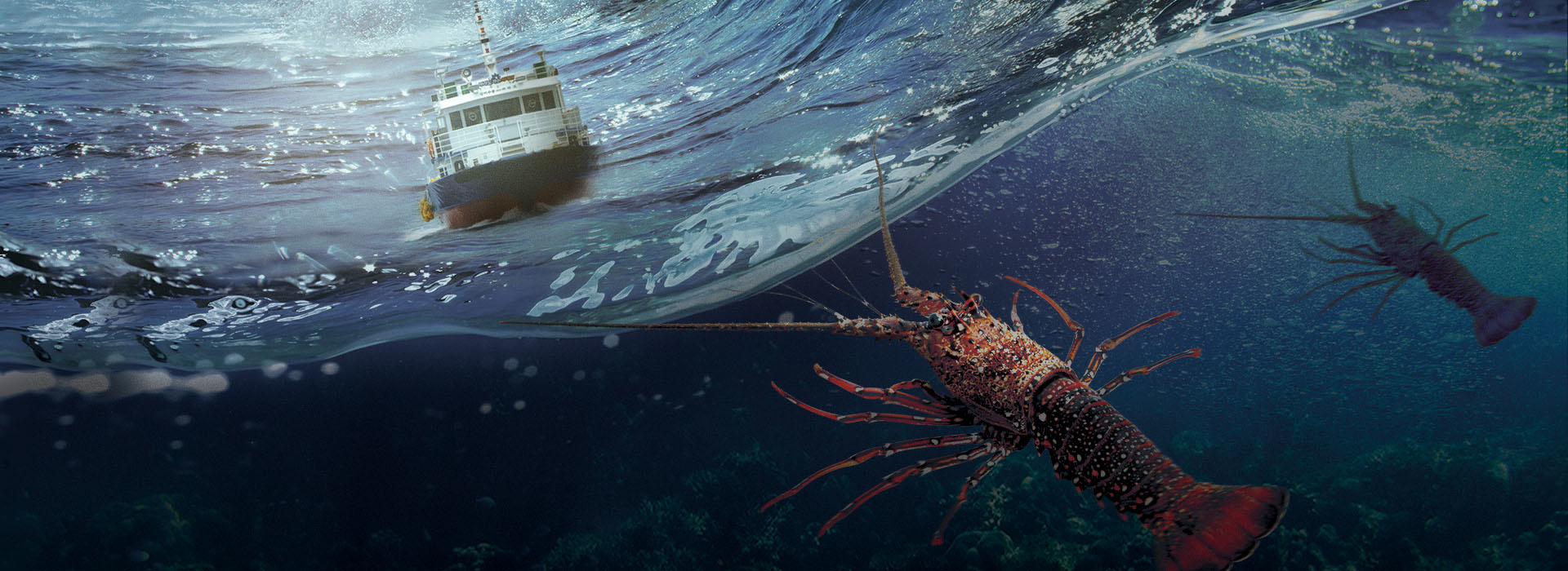 Series poster Aussie Lobster Hunters