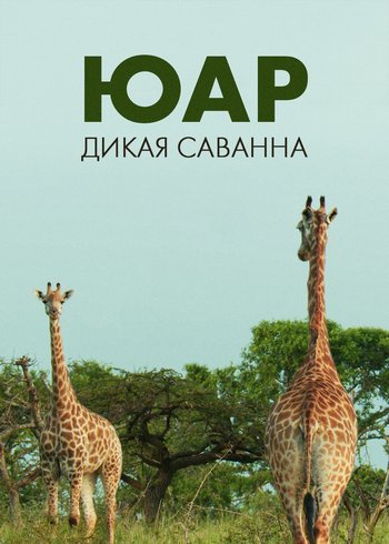 Фильм ЮАР — дикая Саванна 2018