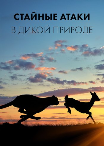 Сериал Стайные атаки в дикой природе 2022