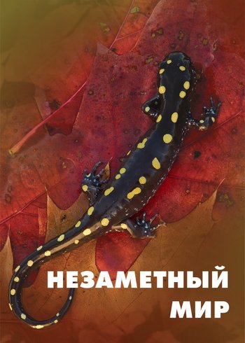 Movie A World Unnoticed 2017