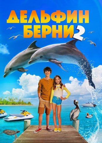 Movie Bernie The Dolphin 2 2019