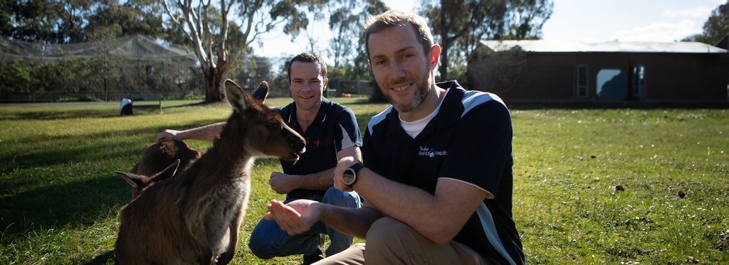 Series poster Scottish vets down under