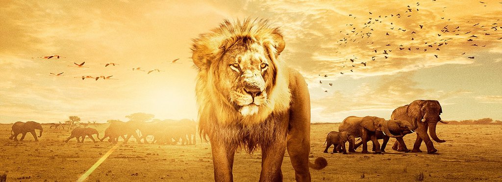 Постер фильма Заколдованное королевство 3D