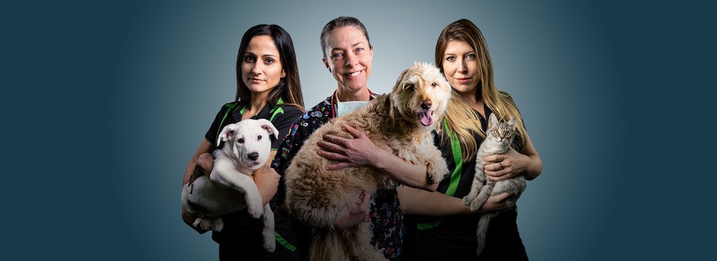 Постер сериала Спасатели домашних питомцев