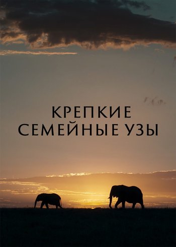 Сериал Крепкие семейные узы 2022