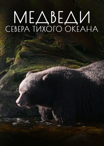 Фильм Медведи севера Тихого океана 2021