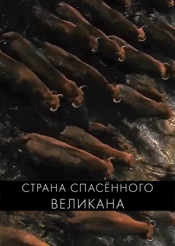 Фильм Страна спасенного великана 2023