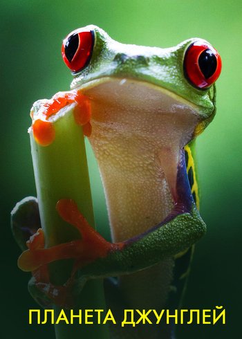 Сериал Планета джунглей 2017