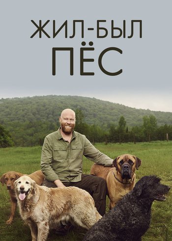 Series Lives Of Dogs 2020