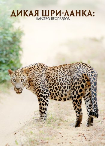 Фильм Дикая Шри-Ланка: царство леопардов 2019