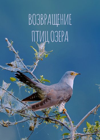 Фильм Возвращение птиц озера 2019