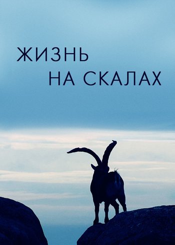 Фильм Жизнь на скалах 2020