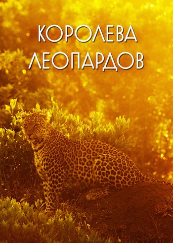 Сериал Королева леопардов 2021