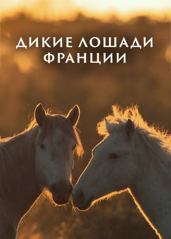 Фильм Дикие лошади Франции 2015