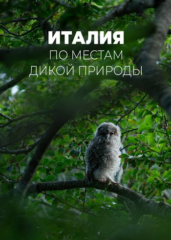 Сериал Италия. По местам дикой природы 2023
