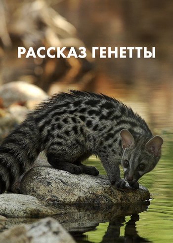 Фильм Рассказ генетты 2016