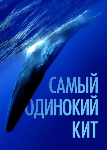 Movie Самый одинокий кит 2021