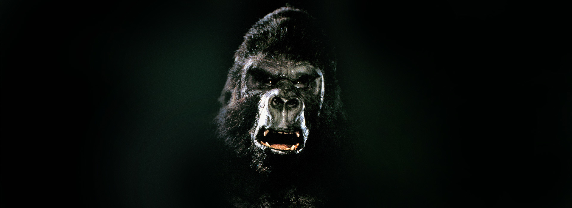 Movie poster King Kong Lives