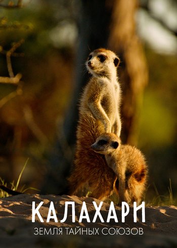 Сериал Калахари: земля тайных союзов null