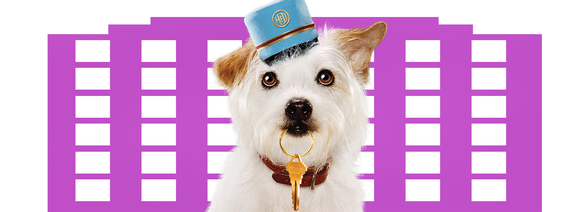 Постер фильма Отель для собак