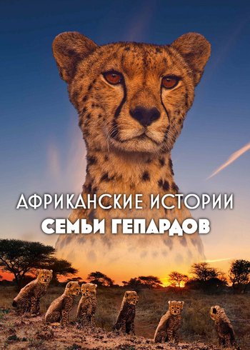 Сериал Африканские истории семьи гепардов 2020