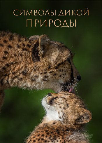 Сериал Символы дикой природы 2014