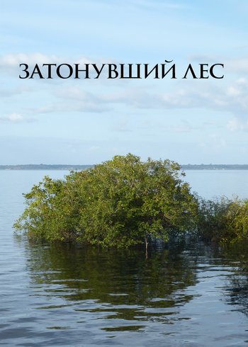 Фильм Затонувший лес 2016