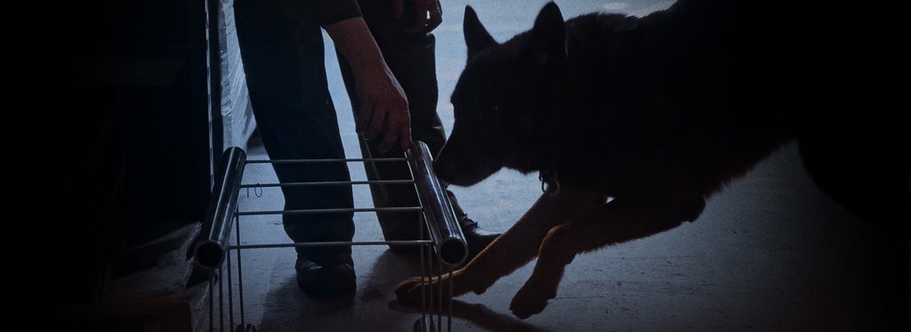 Постер сериала Стоп! Пограничный контроль