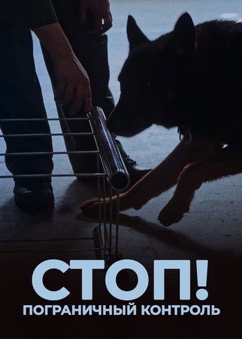 Сериал Стоп! Пограничный контроль 2021