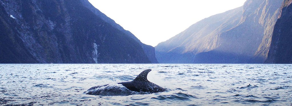 Постер сериала Царства теней