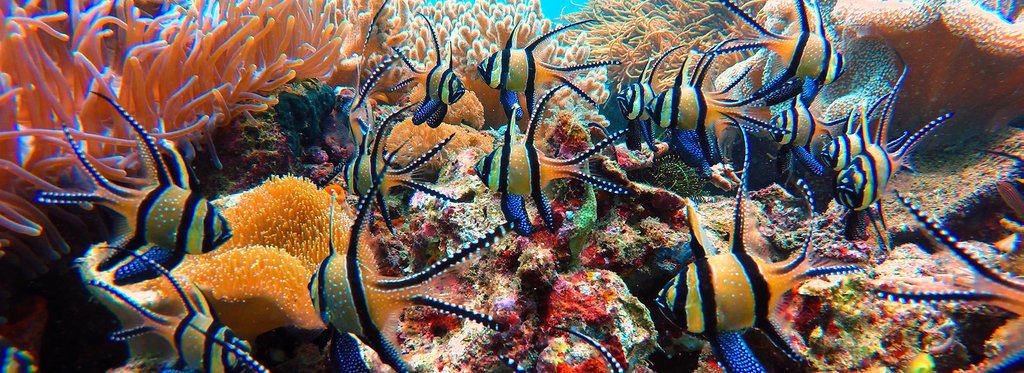 Постер сериала Стратегия выживания