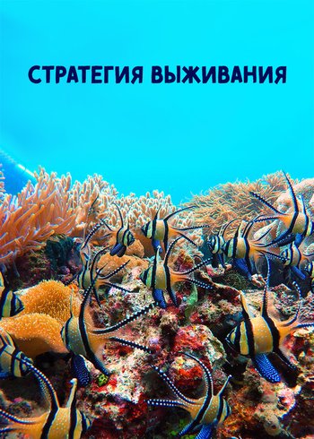 Сериал Стратегия выживания 2017