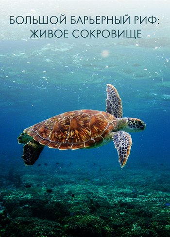 Фильм Большой Барьерный риф 2021