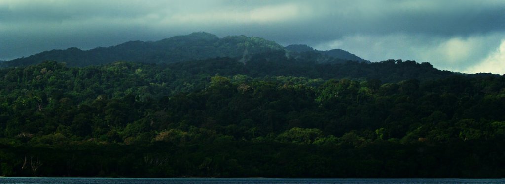 Постер фильма Индонезия - тайны леса