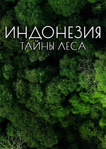 Фильм Индонезия - тайны леса 2020