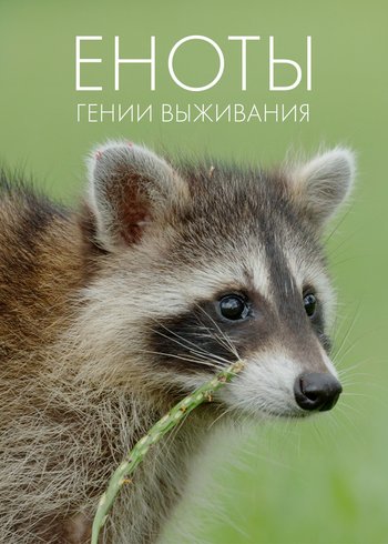 Фильм Еноты: гении выживания 2021