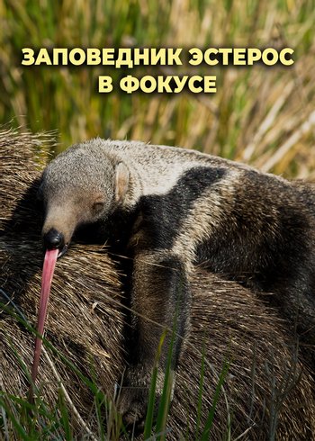 Сериал Заповедник Эстерос в фокусе 2017