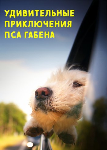 Movie For Dog's Sake 2018