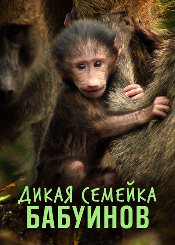 Фильм Дикая семейка бабуинов 2021